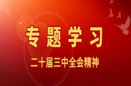 科瑞黨建｜三中全會《決定》提出的“六個堅持”是指什么？