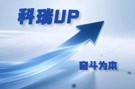 科瑞UP-奮斗者畫像